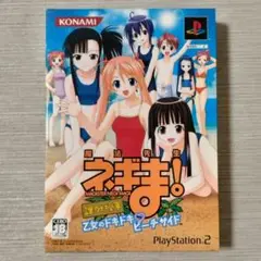 魔法先生ネギま!課外授業 乙女のドキドキ ビーチサイド PS2用ソフト