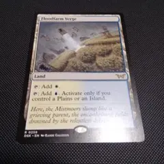 フラッドファームの境界　英語　floodfarm verge　1枚