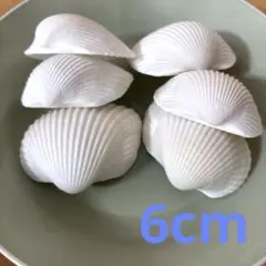 Item thumbnail for item d3a96d60-5482-4351-be9e-6f27c58fc09a