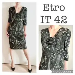 Etro グレー、ホワイト、グリーンのペイズリープリントカウル・ネックドレス