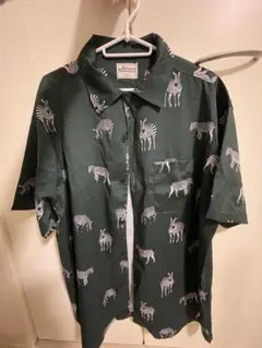 Item thumbnail for item 93cd4d42-e5aa-4128-b19c-50ef1e8bd4b0