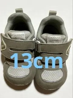 Item thumbnail for item 641d831e-305c-4505-81d6-de958e8878c4