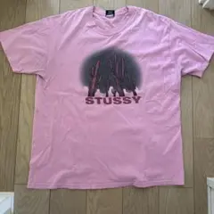 STUSSY Tシャツ