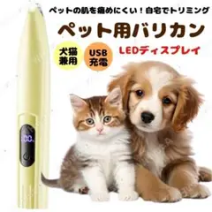 Item thumbnail for item 3da795b1-39fb-40d5-935d-dcfeb631911b