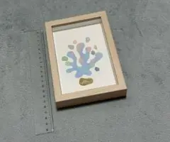 サンゴ　絵画