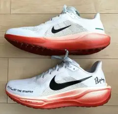 ナイキ ペガサス41 "'Eliud Kipchoge."27.5cm