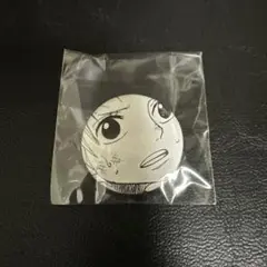 ONEPIECE ワンピース オールフェイス 缶バッジ ナミ