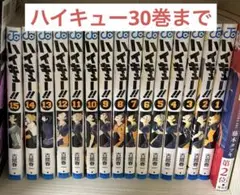 ハイキュー 1〜30巻 ＋ 極