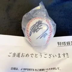 西武ライオンズ　松坂大輔　直筆サインボール