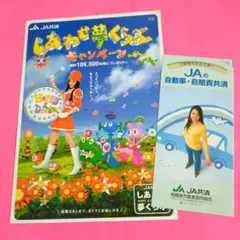 レア 仲間由紀恵 JA チラシ カタログ