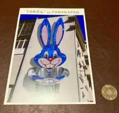 Fanakapan 【Numbers 】ファナカパン Fanakapan（ファナカパン）のAnimal Numbersを通販で販売してい