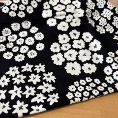 う早この布　キャンパス　２メートル