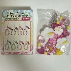 マイメロディ サンリオ トコナツバケーション シークレットストラップ 日焼け