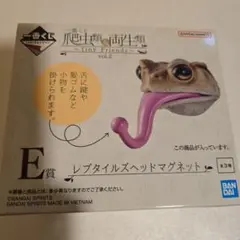 一番くじ 爬虫類　E賞 レプタイルズヘッドマグネット　ミヤコヒキガエル