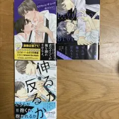 橋本あおい BL漫画 3冊セット