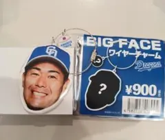 中日ドラゴンズ 木下拓哉 BIG FACE ワイヤーチャーム ドラゴンズガチャ