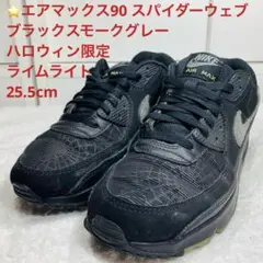 エアマックス90 スパイダーウェブ　ブラックスモークグレーライムライト 25.5