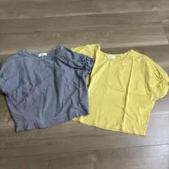 ストライプ柄＆無地トップス2色セット　BEAMS