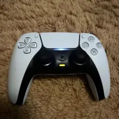 PS5 コントローラー　リモコン　白　ホワイト　ジャンク