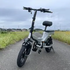 【超高性能】フル電動自転車 航続距離100km 最高速度30km/h超