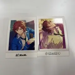 三毛縞斑ぱしゃこれ箔押し