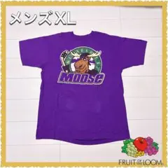 フルーツオブザルーム Tシャツ USA製 メンズ XL 綿素材 アイスホッケー