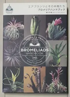 セール！ 洋書『ベネズエラの山岳植物、アンデスとテプイ、ブロメリア』植物図鑑 2025年最新】ブロメリア図鑑の人気アイテム - メルカリ