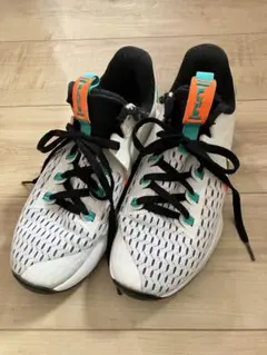 Item thumbnail for item c5d08c41-a8ac-4e24-9d84-e2db013d1680