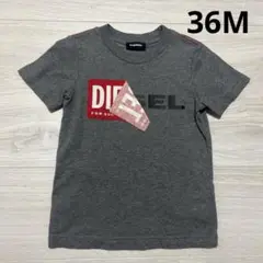 DIESEL グレー ロゴ Tシャツ