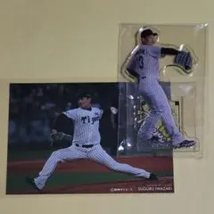 岩崎優 阪神タイガース ラッフルくじ ブロマイド