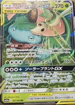 フシギバナ＆ツタージャGX