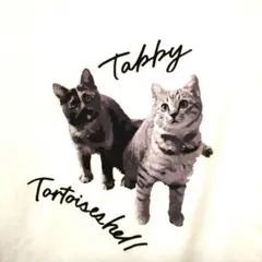 ルピリアン 猫プリントTシャツ 半袖