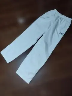 Item thumbnail for item 02ceb1f6-050b-4940-b620-b5df08819ac2