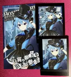 ホロライブ 探偵と怪盗 星街すいせいぱしゃこれ2種 入場特典ポストカードセット
