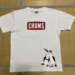 CHUMS チャムス　ペンギン　tee tシャツ L