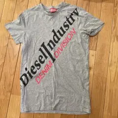 DIESEL 斜めロゴ Tシャツ グレー