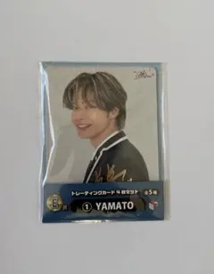 Item thumbnail for item 165ec6fa-ea93-4656-9ab7-c565dc8e156e