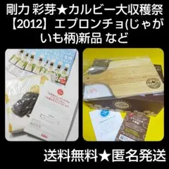 剛力 彩芽★カルビー大収穫祭【2012】エプロンチョ(じゃがいも柄)新品 等