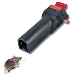 Item thumbnail for item 14e4124e-9fbe-4aa8-8f0d-aedf94b260e8