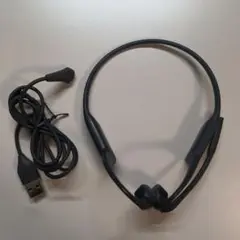 Item thumbnail for item a2b9fc11-5d40-43fc-9d87-2fd8c1d48ec6