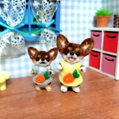 チワワセット♪　チョコタン