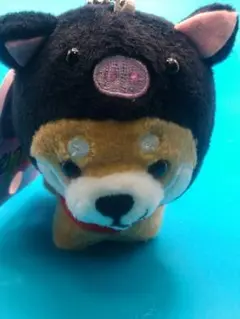 旅するマメしば　まめた✕黒豚【鹿児島限定】