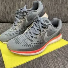 Nike Air Zoom Pegasus 34