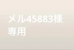 専用ページ