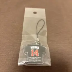 Item thumbnail for item 436fbf45-5dc5-47fe-9347-8fe10c882bcb