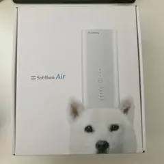 ソフトバンクAir ターミナル4 SoftBank Air