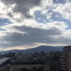 専用