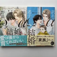 BLコミック 激愛αと野良Ωの結婚 訳ありαと迷子Ωの結婚 2冊セット 銀川ケイ