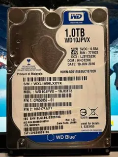 WD Blue 1TB 内蔵型ハードディスクドライブ 13744時間