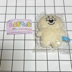 んぽちゃむ ガチャガチャ きみまろ(んぽちゃむフェイス)